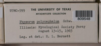 Image Associated With the Occurence